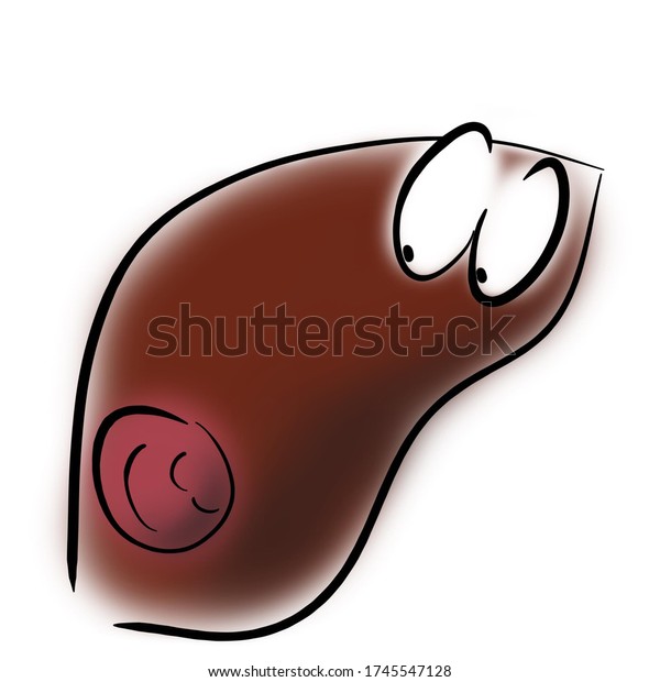 血管腫は肝臓で眠る のイラスト素材