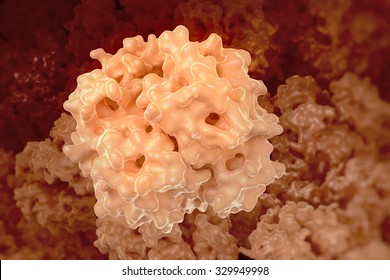 Hemoglobin (human, Hb) Protein Molecule, Chemical Structure