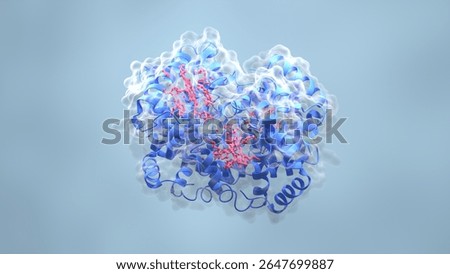 Hemoglobin molecule ribbon surface model 3D render image can be used in medical-science articles, biotech intros and research presentations
