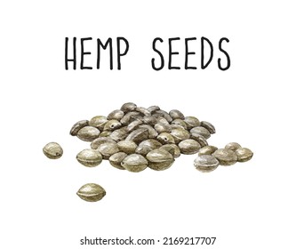 Hemp Seeds Watercolor Illustration. Cannabis Grain Heap Hand Drawn Image. Medical And Raw Food Organic Hemp Seeds On White Background