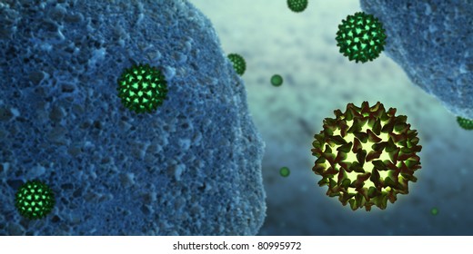 hepatitis B virus in close contact with human cells