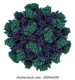 Hepatitis E Virus Capsid Structure. HEV Infection Causes Viral Hepatitis. Atomic-level Structure.