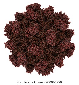 Hepatitis E Virus Capsid Structure. HEV Infection Causes Viral Hepatitis. Atomic-level Structure.