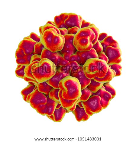 Hepatitis E virus molecular model isolated on white background, 3D illustration, non-enveloped RNA virus with fecal-oral transmission route, the causative agent of hepatitis