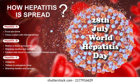 Hepatitis informative banner, poster , infographic design on 28th july 