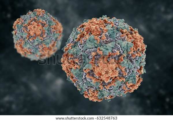 Hepatitis virus. Structure of the hepatitis\
B virus. 3d\
illustration.