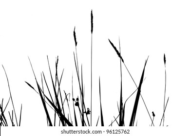 387 Prairie grass sketch Images, Stock Photos & Vectors | Shutterstock