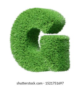 Herbal Grass Alphabet Uppercase Letter G Stock Illustration 1521751697 ...