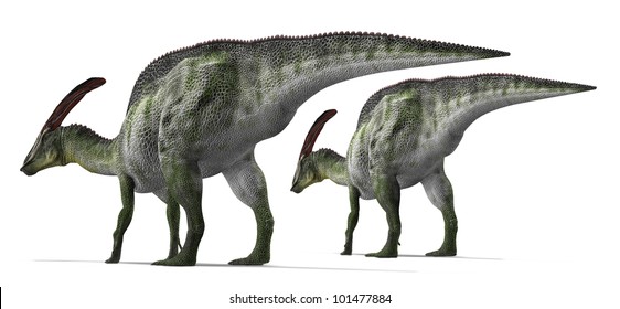 name of herbivorous dinosaur