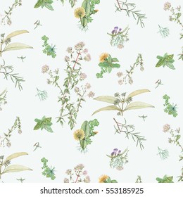 Herbs pattern. Seamless repeat. Variety of leaves and flowers on a pale green background. Healthy plants for culinary use. lemon Myrtle, Dandelion, Mint, Oregano, Comfrey, Rosemary, Dill, Yellow