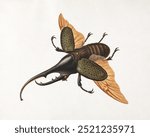 Hercules Beetle (1758), vintage insect illustration by George Edwards Vintage beetle insect art drawing illustration, old painting beetle insect art print.