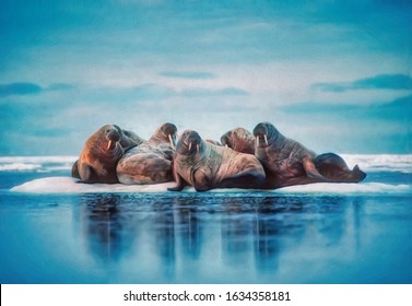 Herd Of Walrus On Ice Floe In Canadian Arctic,,digital Art