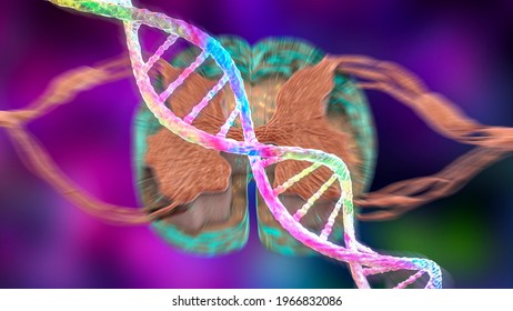 Hereditary Spinal Cord Disorders, Conceptual 3D Illustration. Mutations In The DNA Leading To Spinal Cord Diseases. Spinal Muscular Atrophy, SMA. Neurogenetics, Neurodegenerative Disorders