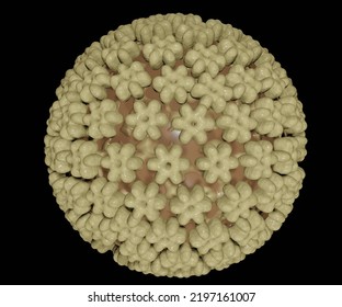 Herpes Simplex Virus 1 And 2 (HSV-1 And HSV-2) 3d Rendering