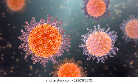 Herpes Simplex Virus, 3D Illustration