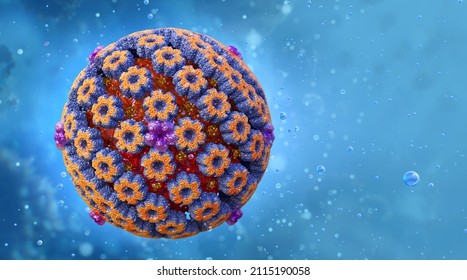 Herpes simplex virus cell model, herpesviridae family viral infection caused by the human herpes virus. Oral, lips, skin HSV-1 and sexually transmitted genital disease HSV-2, 3D medical science image
