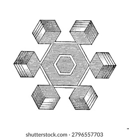 Hexagonal stellar snow crystal combining radiant star arms with plate structures, six connected cube-like formations in a symmetrical 3D geometric pattern, fine linear hatching, old vintage illustration, 1897.