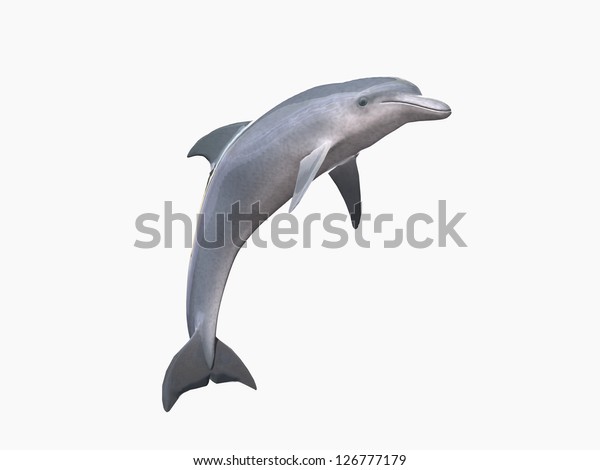 白い背景に高解像度イルカ のイラスト素材