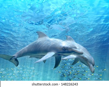 HI Res Dolphins Under Water