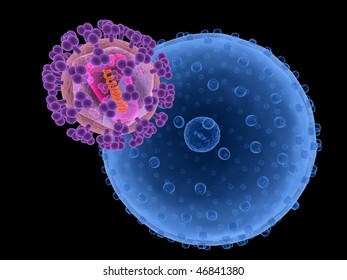 HI virus