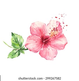 Hibiscus Flower Watercolor Painting Stock Illustration 299267582 ...