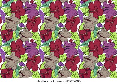 Hibiscus flowers on white background in violet, red and green colors.