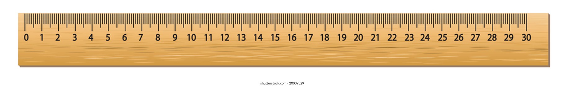a foot ruler