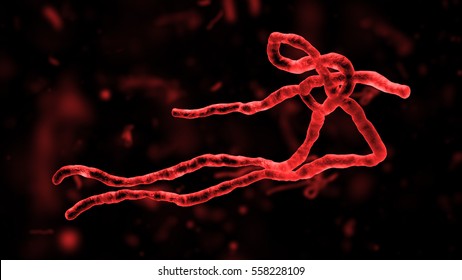 High Quality 3D Render ebola virus with similar small cell in the background. Germs microorganism cells under microscope. Infection and microbe. Microbiology, popular scientific background. 