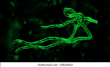 High Quality 3D Render Ebola Virus With Similar Small Cell In The Background. Germs Microorganism Cells Under Microscope. Infection And Microbe. Microbiology, Popular Scientific Background. 