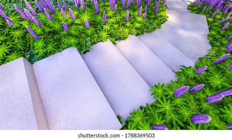 下草 Hd Stock Images Shutterstock