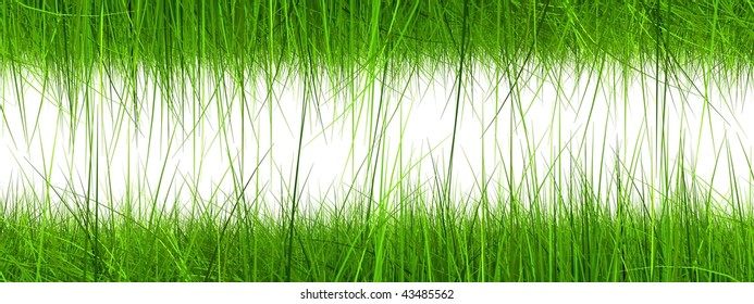 High resolution 3d green grass frame isolated on a white background