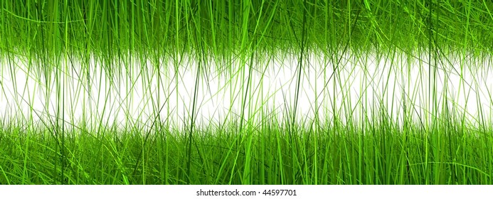 High resolution 3d green grass frame isolated on a white background