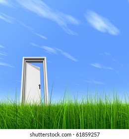 High resolution 3D white door opened in grass to a nice sky background with white clouds