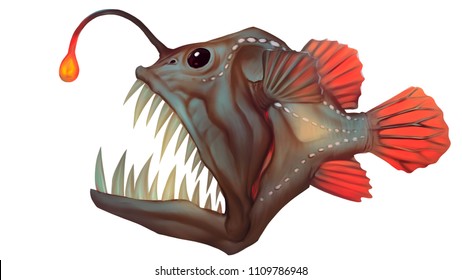 Fish angler Female Anglerfish