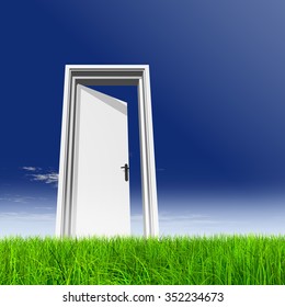 High resolution green, fresh and natural 3d conceptual grass over a blue sky background, a opened door at horizon  ideal for religion, home, recreation, faith, business, success, opportunity or future - Shutterstock ID 352234673