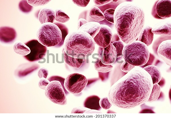 High Resolution Image Red Blood Cells Stock Illustration 201370337