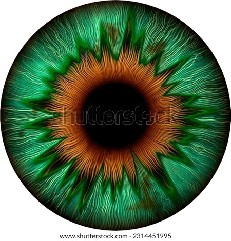 High resolution isolated iris texture image