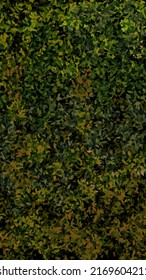high resolution leafs background or texture for wallpaper