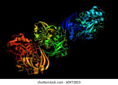 A High Resolution Raytraced Ribbon Model Of Beta-secretase - A Protein That Is Important In Forming Healthy Peripheral Nerve Cells, But Is Also Involved In The Onset Of Alzheimer's Disease.