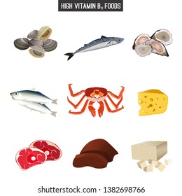 High Vitamin B12 Foods Healthy Seafood Stock Illustration 1382698766