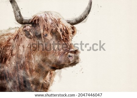 Highland cattle. Scottish Highland cow. Bull with horns. Isolated with copy space, add your own text. Aquarelle, watercolor illustration.