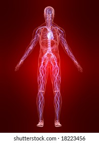 90,202 Body inflammation Images, Stock Photos & Vectors | Shutterstock