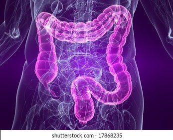 highlighted colon