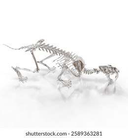 High-quality 3D visualization of a prehistoric saber-toothed cat skeleton isolated on white.