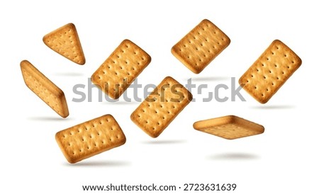 High-quality plain rectangular biscuits captured in a flying flat lay composition, isolated on white background.
