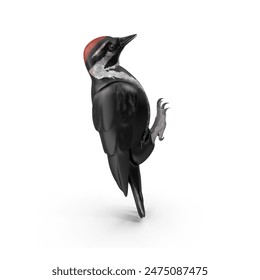 High-Resolution 3D Modeled Woodpecker JPG Image for Wildlife, Nature, and Bird Illustrations