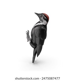 High-Resolution 3D Modeled Woodpecker JPG Image for Wildlife, Nature, and Bird Illustrations