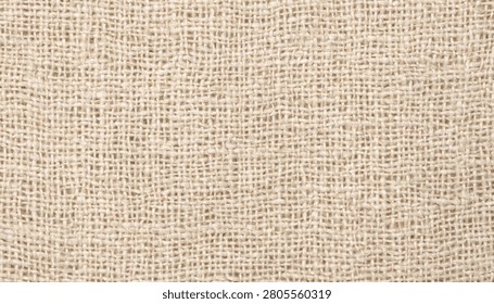 A high-resolution flat lay studio shot capturing the rugged surface texture of heavyweight raw burlap fabric with a natural beige woven pattern. Featured across the frame in a-professional-flat-lay-texture-of-heavyweight-raw.jpg, this textured jute linen material provides a rustic backdrop ideal as a commercial design asset.