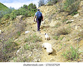 Hiking With Dogs Along Rocky Trail In The Superstition Mountains