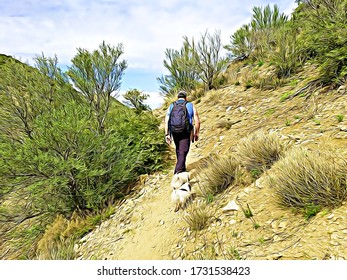 Hiking With Dogs Along Rocky Trail Among Shrubs In The Superstition Mountains